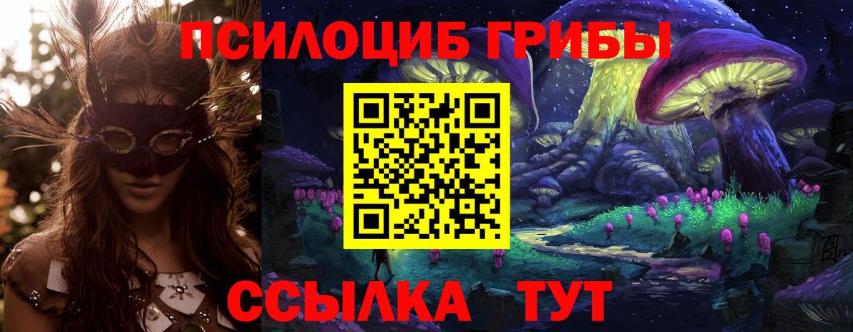 Зима  Галлюциногенные грибы GOLDEN TEACHER  Псилоцибиновые грибы GOLDEN TEACHER  Вход с VPN 