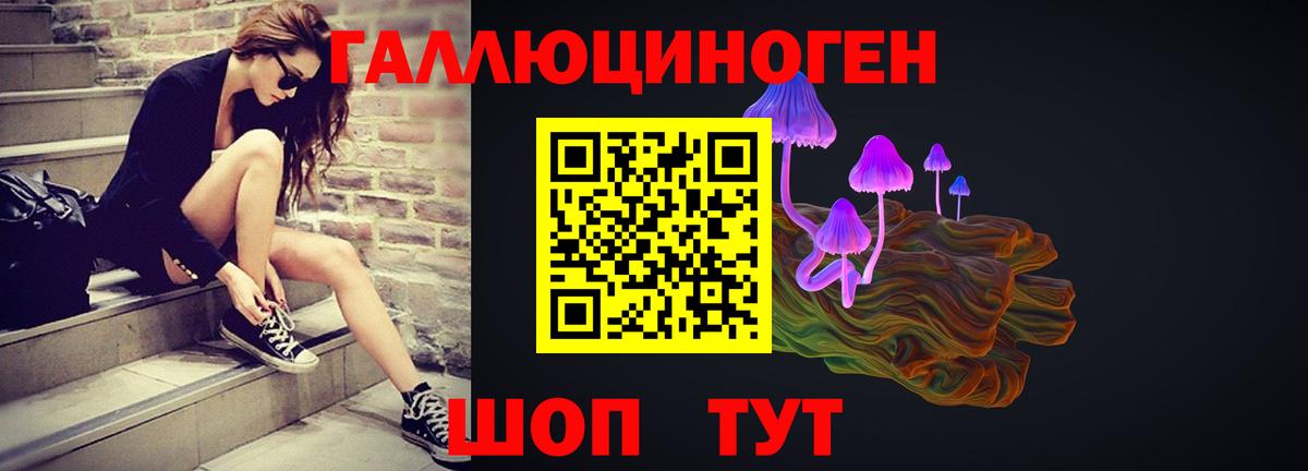 Псилоцибиновые грибы Psilocybe Зима